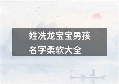 姓冼龙宝宝男孩名字柔软大全