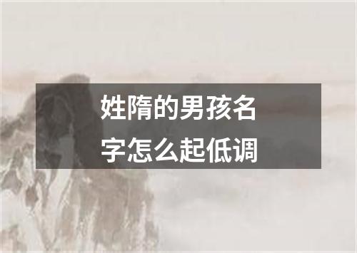 姓隋的男孩名字怎么起低调