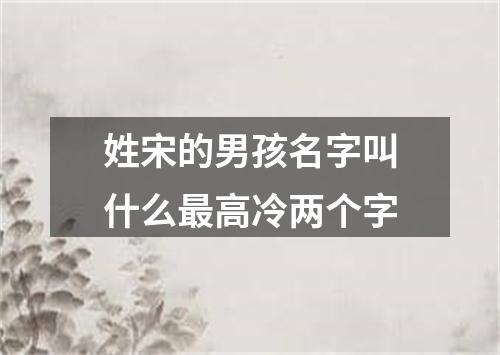 姓宋的男孩名字叫什么最高冷两个字