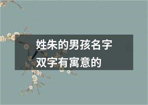 姓朱的男孩名字双字有寓意的