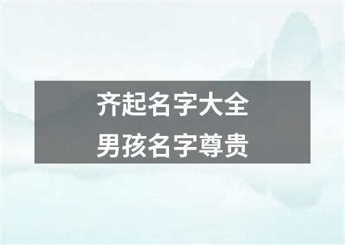 齐起名字大全男孩名字尊贵