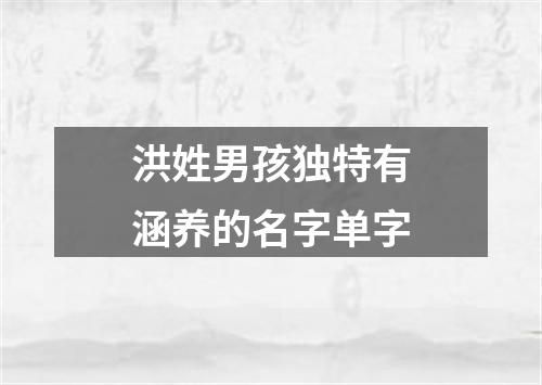 洪姓男孩独特有涵养的名字单字