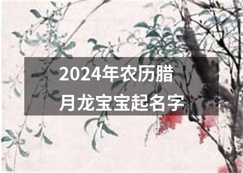 2024年农历腊月龙宝宝起名字