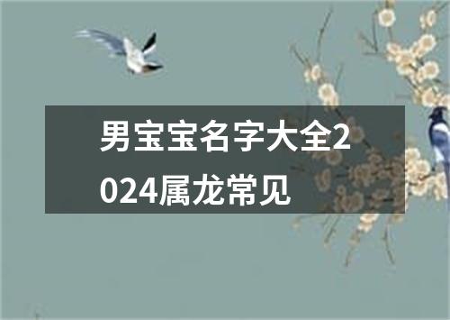 男宝宝名字大全2024属龙常见