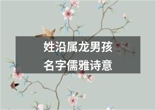 姓沿属龙男孩名字儒雅诗意