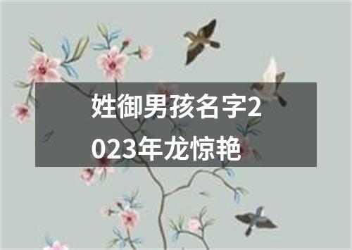 姓御男孩名字2023年龙惊艳