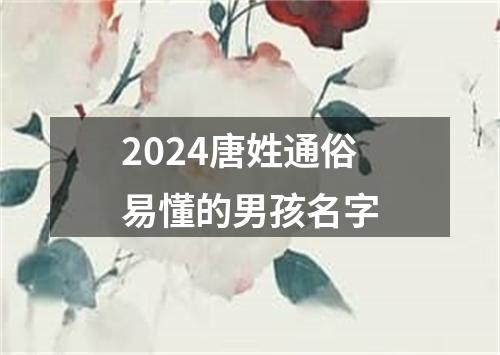 2024唐姓通俗易懂的男孩名字