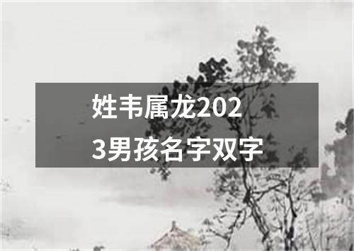 姓韦属龙2023男孩名字双字