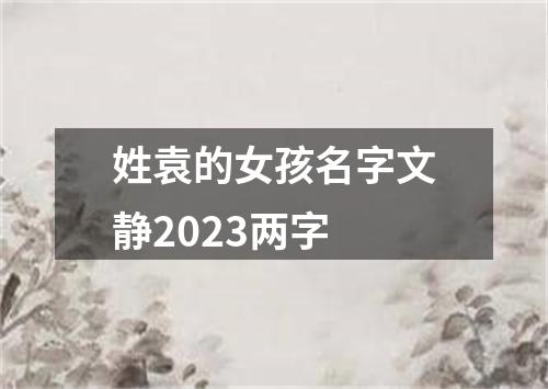 姓袁的女孩名字文静2023两字