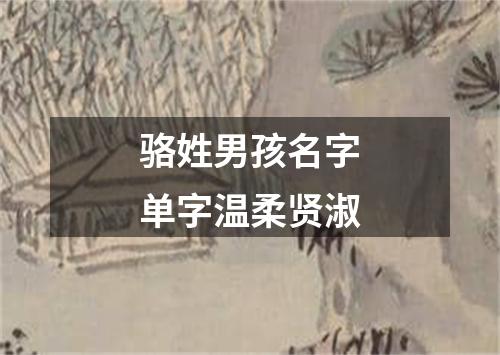 骆姓男孩名字单字温柔贤淑