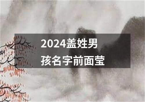 2024盖姓男孩名字前面莹