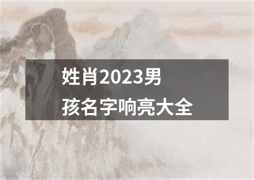 姓肖2023男孩名字响亮大全