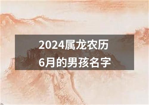 2024属龙农历6月的男孩名字