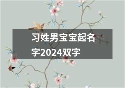 习姓男宝宝起名字2024双字