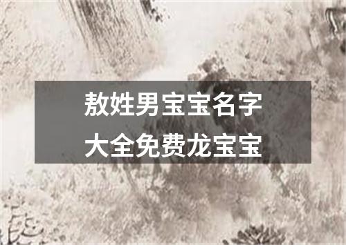 敖姓男宝宝名字大全免费龙宝宝