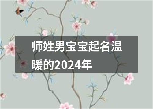 师姓男宝宝起名温暖的2024年