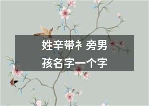 姓辛带衤旁男孩名字一个字