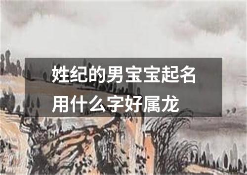 姓纪的男宝宝起名用什么字好属龙