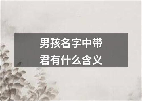 男孩名字中带君有什么含义