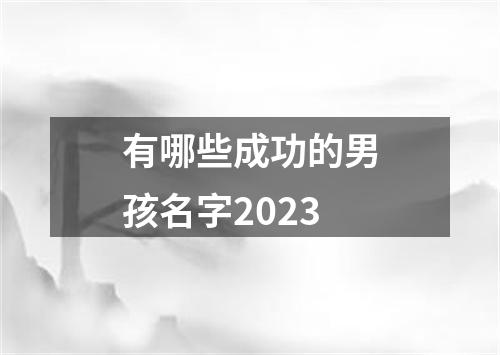 有哪些成功的男孩名字2023