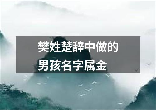 樊姓楚辞中做的男孩名字属金