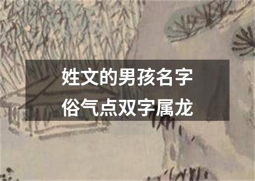 姓文的男孩名字俗气点双字属龙