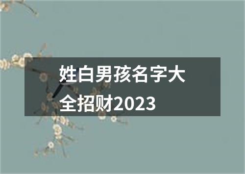 姓白男孩名字大全招财2023