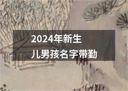 2024年新生儿男孩名字带勤