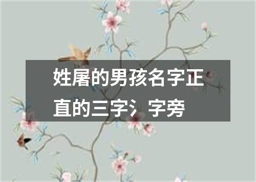 姓屠的男孩名字正直的三字氵字旁