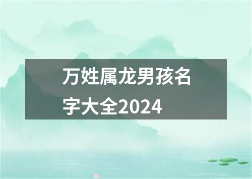 万姓属龙男孩名字大全2024