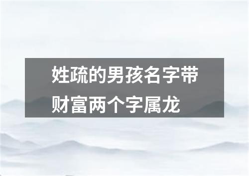 姓疏的男孩名字带财富两个字属龙