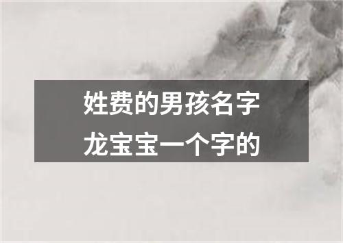 姓费的男孩名字龙宝宝一个字的