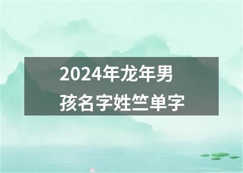 2024年龙年男孩名字姓竺单字