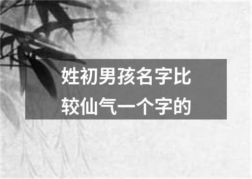 姓初男孩名字比较仙气一个字的