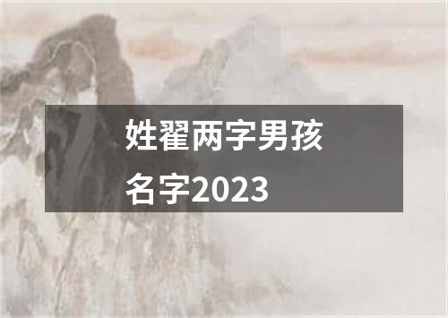 姓翟两字男孩名字2023