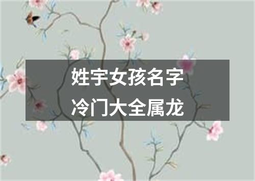 姓宇女孩名字冷门大全属龙