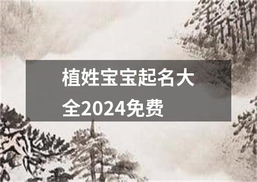 植姓宝宝起名大全2024免费