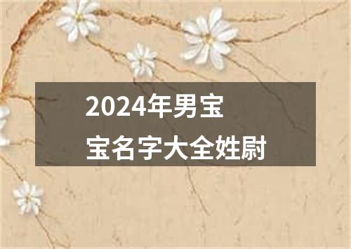 2024年男宝宝名字大全姓尉