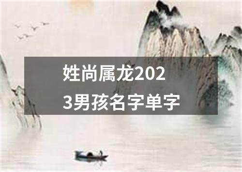 姓尚属龙2023男孩名字单字