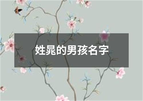 姓晁的男孩名字