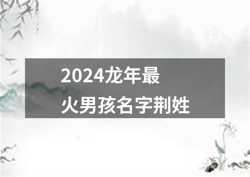 2024龙年最火男孩名字荆姓