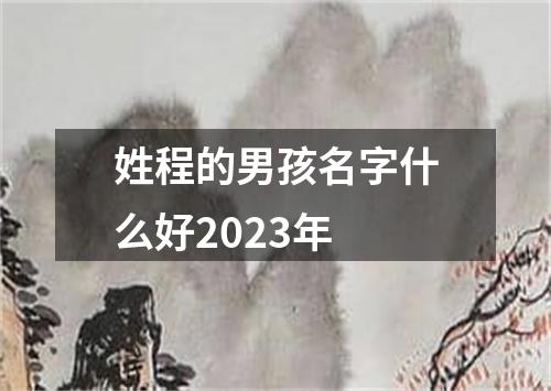 姓程的男孩名字什么好2023年