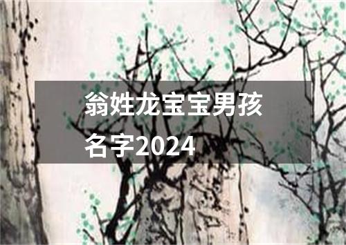 翁姓龙宝宝男孩名字2024