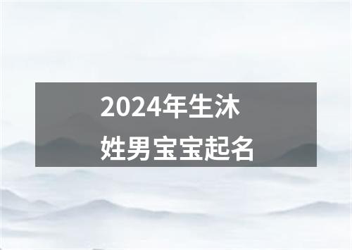 2024年生沐姓男宝宝起名