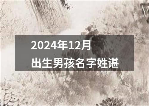 2024年12月出生男孩名字姓谌