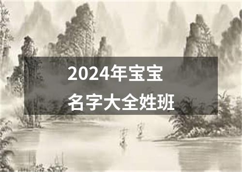 2024年宝宝名字大全姓班