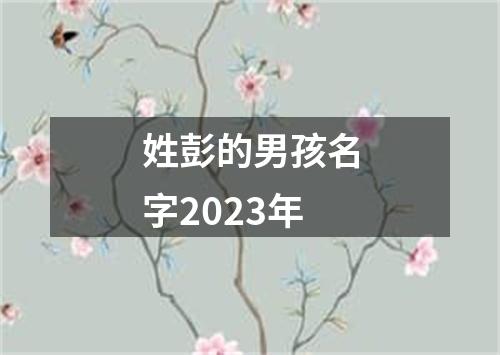 姓彭的男孩名字2023年