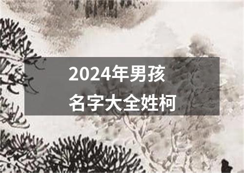 2024年男孩名字大全姓柯