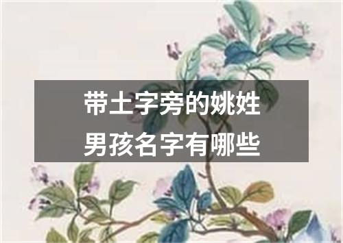 带土字旁的姚姓男孩名字有哪些