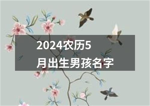 2024农历5月出生男孩名字